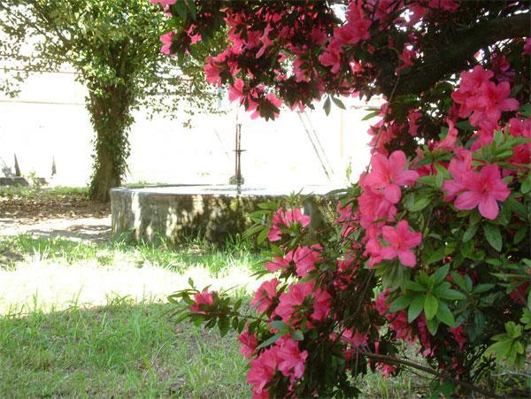 As Casinas Villa Ribadavia Dış mekan fotoğraf